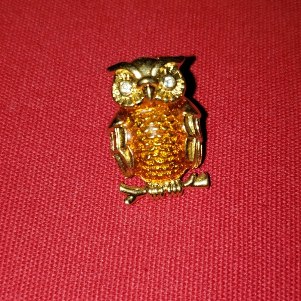 Vintage Owl pin.